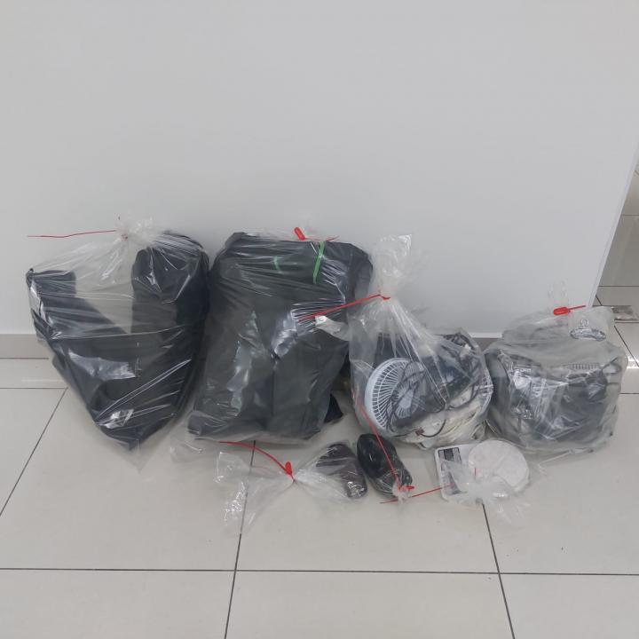 Foto 3 de 4 — 12 pés de maconha são flagrados em residência de Araraquara